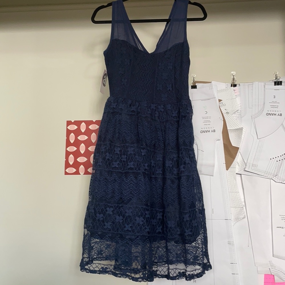 Apricity lace dress